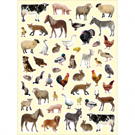 Gommettes photos animaux de la campagne