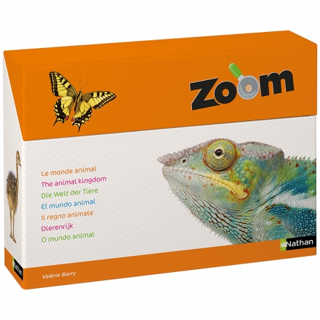 Imagier Zoom - Découvrir le monde animal PS/MS/GS
