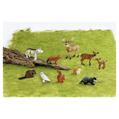 Animaux de la forêt