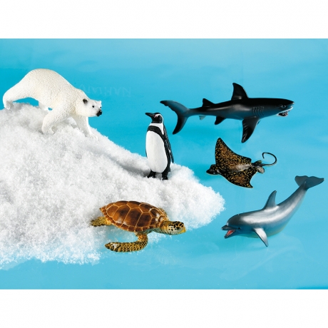 Animaux marins