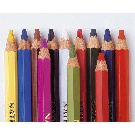 Crayons Maxicolor - Lot de 5 pochettes