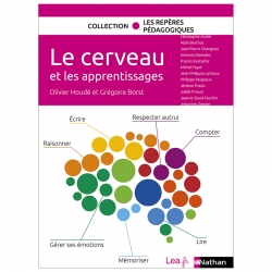 Le cerveau et les apprentissages